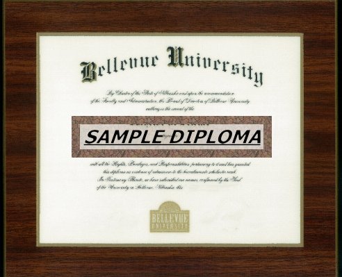 Diploma Plaque - Mahogany